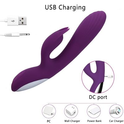 USB充満 	22.5cmのバイブレーターの性のおもちゃの健康なシリコーン10の速度